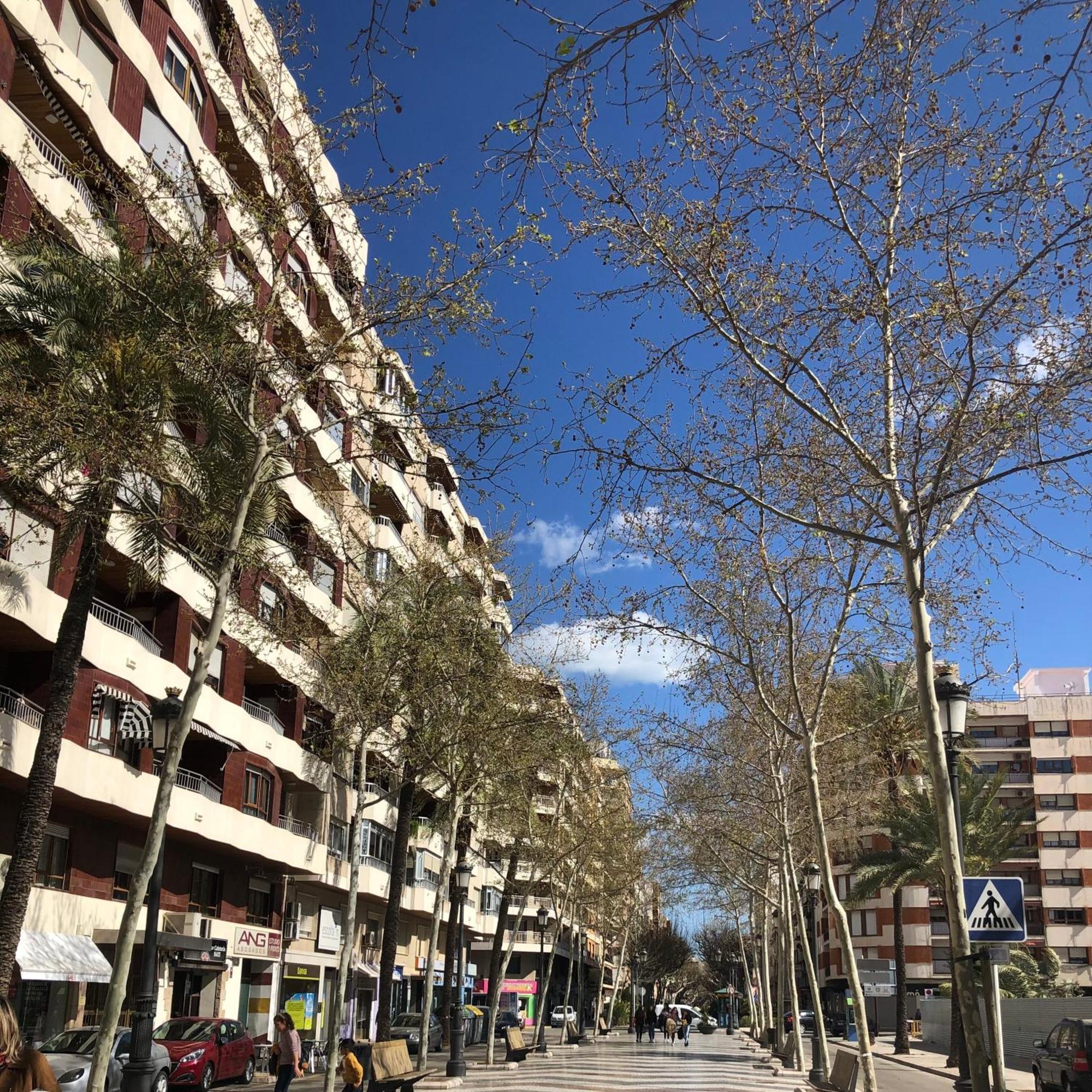 Habitaciones En Gandia A 5 Min Del Centro Historico 외부 사진